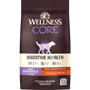Food for senior dogs with sensitive stomachs sales