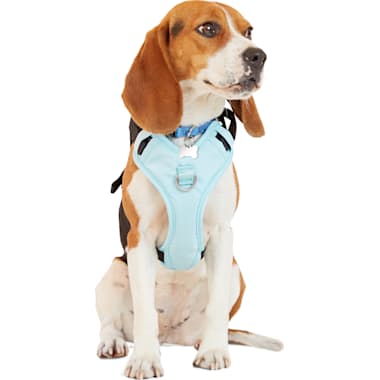 Crash Tested Dog Harnesses Petco