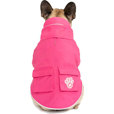 Best Dog Fitness Tracker of 2024 According to Customers Updated