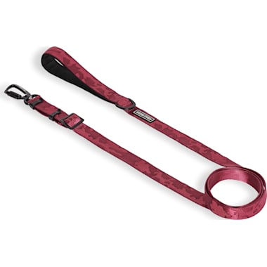 Double dog leash new arrivals petco