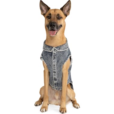 Therapy dog vest petco 2025