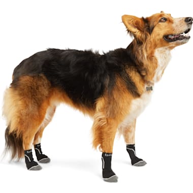Non slip dog outlet socks petco