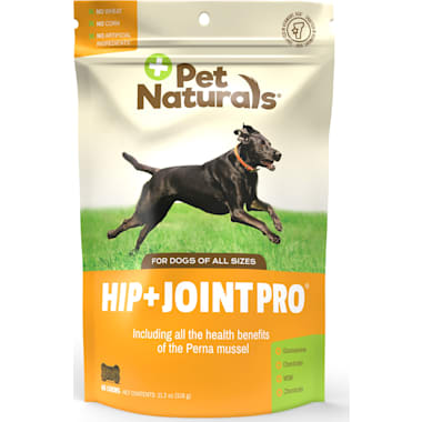 Dog Knee Pain Treatment Petco