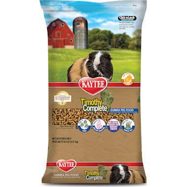 Best Guinea Pig Food of 2024 According to Customers Updated Daily
