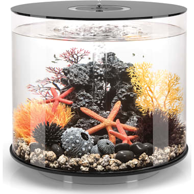 Fish Tank Round Aquarium Accessory (Red) in Chas at best price by Aqua  World - Justdial