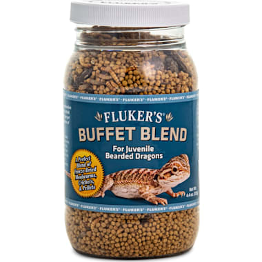 Petco bearded dragon food online