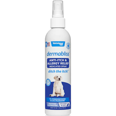 Best Antihistamine For Dogs With Skin Allergies of 2024 According