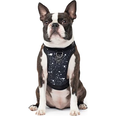 Salt water resistant dog hot sale harness