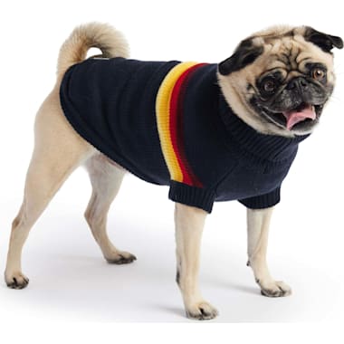 Hbc dog sweater deals