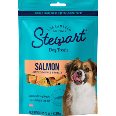 Best dog treats 2025 for great danes