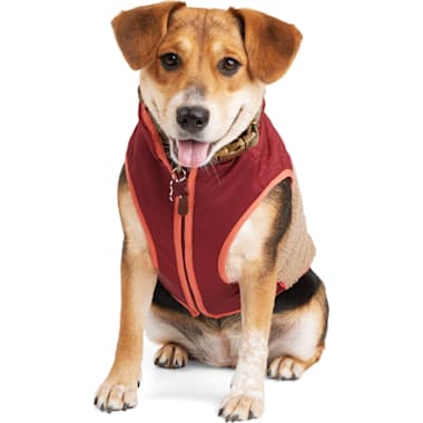 Kong dog winter coats top
