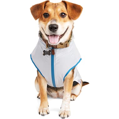 Petco suitical 2024