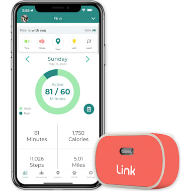 Petco gps collar online