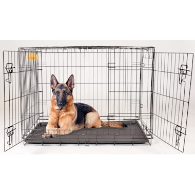 48 plastic outlet dog crate