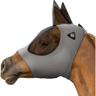 Horse Accessories Petco