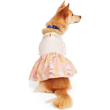 Large breed dog shop dresses