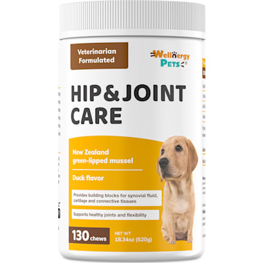 Petco knee shop brace for dogs