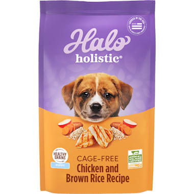 Holistic select sales dog food petco