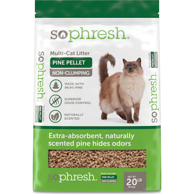 Bulk cat litter top petco