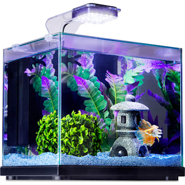 Imagitarium 5.2 Gallon Freshwater Aquarium