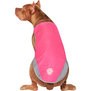 Emotional support dog vest on sale petco