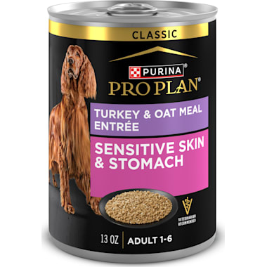 Canned Dog Food For Sensitive Stomach Petco