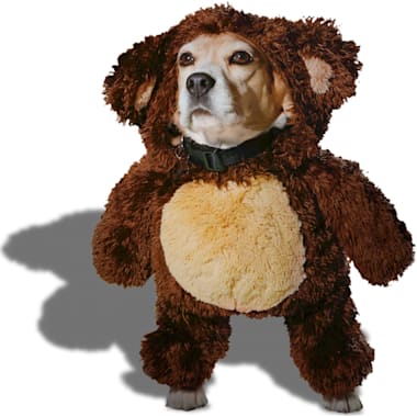 Reindeer Dog Outfits Petco