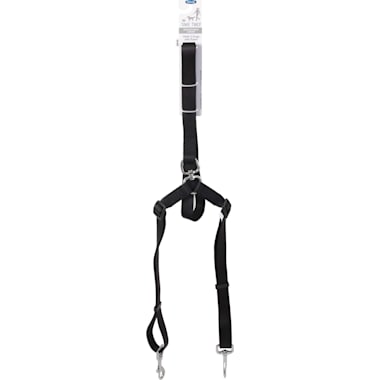 Best leash for discount walking two dogs