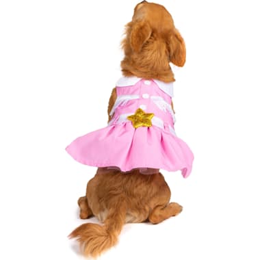 Extra large dog best sale dresses