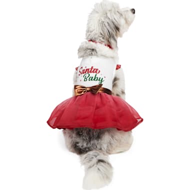 Petco dog christmas clothes outlet