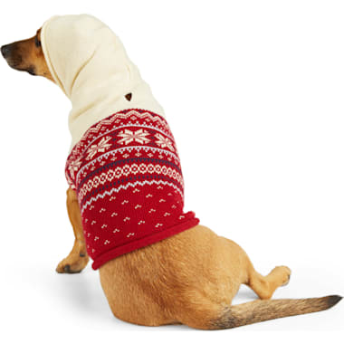 Petco 2025 cat sweater