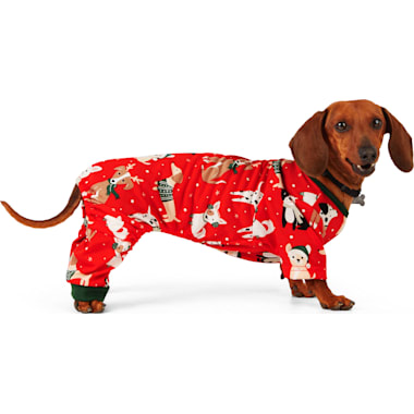 Petco dog clearance christmas clothes