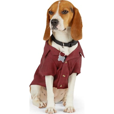 Petco dog deals christmas outfits