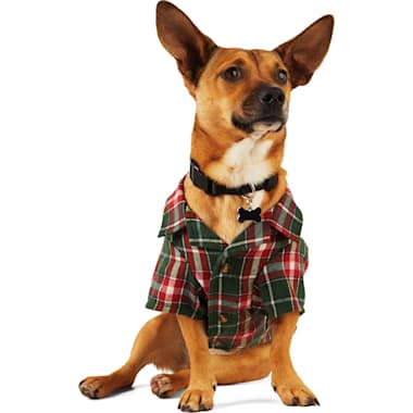 Christmas Outfits For Dogs Petco