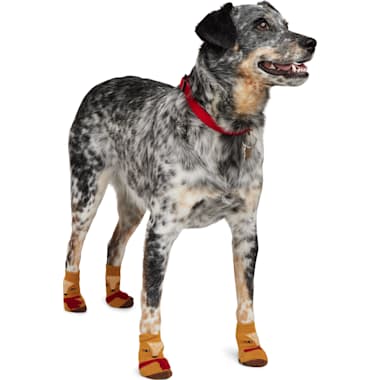 Non slip dog socks petco hotsell