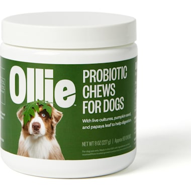 Fortiflora for dogs petco clearance