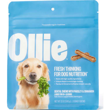 Dog breath store mints petco