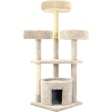 Large Outdoor Heated Cat House For Multiple Cats Petco