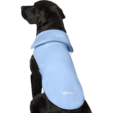 Petco emotional discount support vest