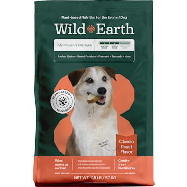 Vegetarian dog shop food petco