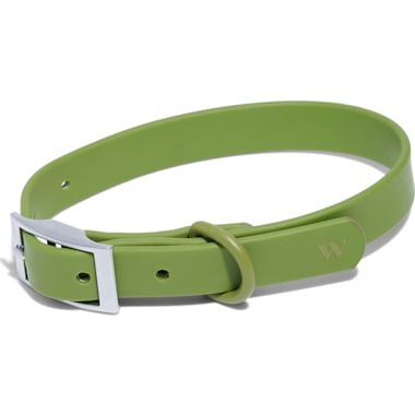 Modern sale dog accessories