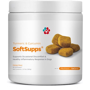 Best supplements for pregnant dogs sales