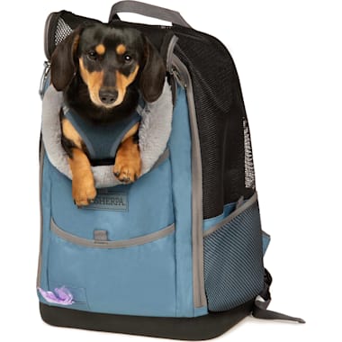 Dog carrier best sale backpack 40 lbs