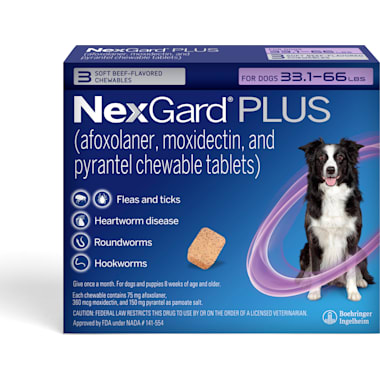 Flea heartworm pill top