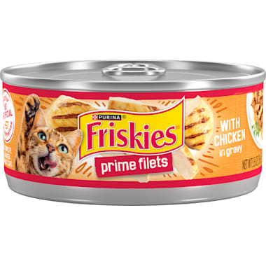Good cheap wet cat food sales