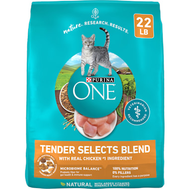 Purina One Soft Dry Cat Food Petco