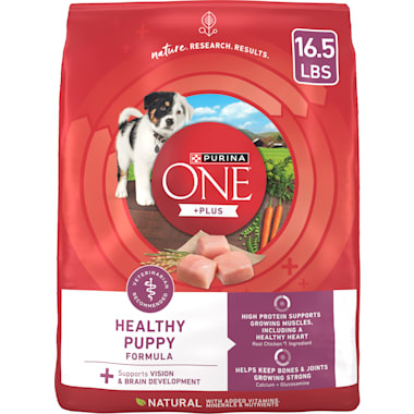 Best puppy shop food no chicken