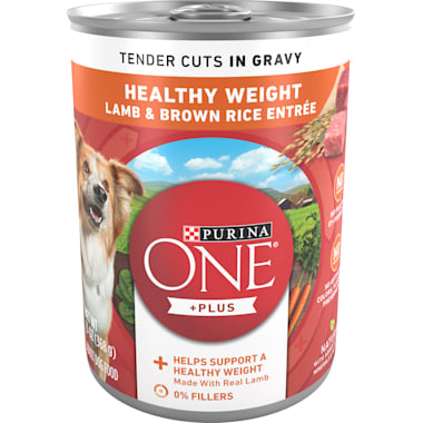 Best wet dog food hot sale for congestive heart failure