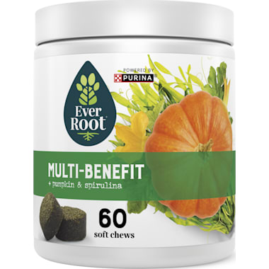 Pumpkin Supplements For Dogs Petco