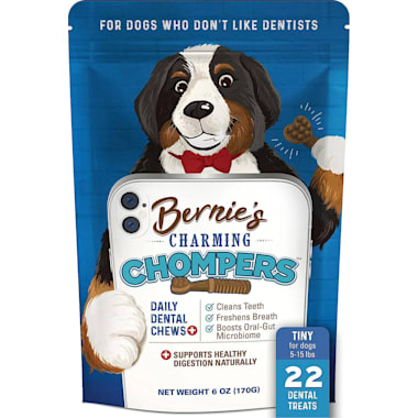 Best dental chews for chihuahuas clearance